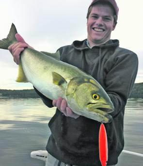 This 76cm St Georges Basin tailor smashed a Rapala X-Rap Walk surface lure.