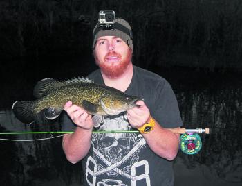 Flyfishing adds a new dimension to native fishing – this little cod smashed a fly before sunrise 