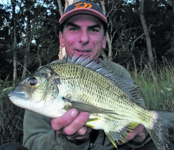 The author picked up this solid Lake Macquarie fish just before sunrise. Choosing the right lure is a large part of success, but other factors such as just getting out of bed super early are equally important.