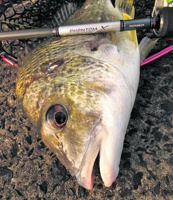 This fish snatched a small sinking vibe worked down deep in winter. As a rough guideline, try sinking lure types through the cooler months and shallower or surface types when things heat up again.