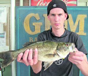 Chasing Bass in the brackish water is great fun and very productive after all the flood events in recent years.