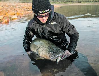 It may be cold, but getting in the water to support the weight of the fish is the best way to look after them.