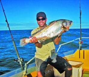 Jewfish have been very prevalent after the big wet this year.