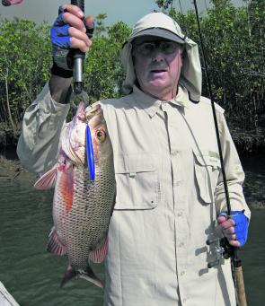 A nice jack taken from a shallow mangrove line.