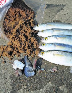 Yellow-eye mullet are also attracted by the use of berley. This can be in the form of a pollard mix or pilchards mixed into a berley pot. Either way, the berley must be placed on the seafloor to be effective.
