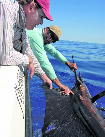 A moment of reflection: guide and angler admire Wayne’s sailfish. 