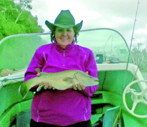 A nice Murray cod as reward for persistent fishing.