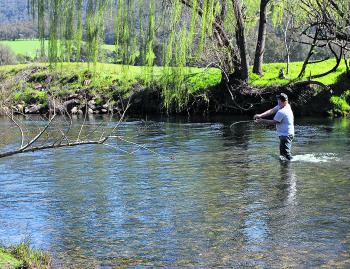Wayne Gardner unleashing a monster cast in the Kiewa River early last season. Knowing big Strawbs it probably landed in that big willow tree. (Did I mention that he out fished me that day?)
