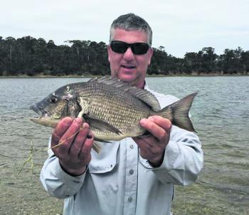 Big bream aren’t hard to come by.