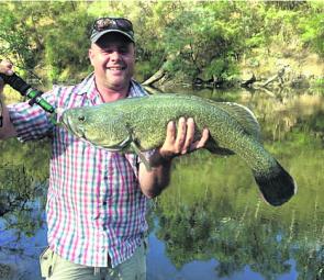 A recent article certainly revved a few anglers to go and attempt to catch the ‘iconic’ Murray cod.