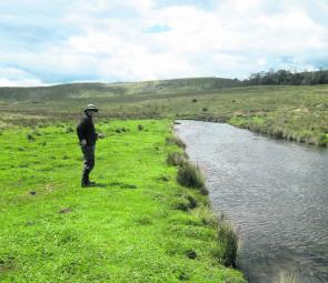 The Vale River in Tasmania’s north west is a legendary grasshopper spot.
