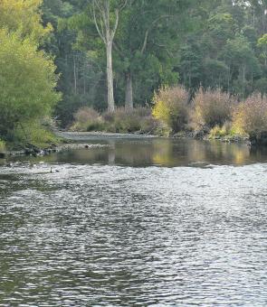 The St Pats River in all its autumn glory – they love a ‘hopper here.