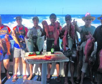 Our reefs have provided well recently considering the warm conditions.