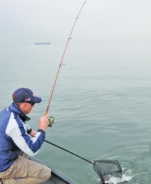 May generally offers a stable weather pattern and ideal conditions for fishing, be it on the shallow reefs, out wide or in the metropolitan rivers.