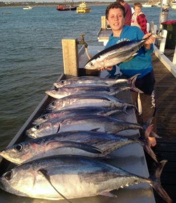 A nice bag of albacore for this happy young angler, which were all caught aboard Matthew Hunt Fishing Charters.