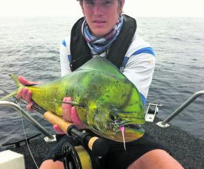 Mahimahi are a great starting point for anyone keen to get into saltwater fly fishing – the fight is phenomenal and when schooled up, they can be forgiving of sloppy presentation and in the author’s case… sea sickness. 