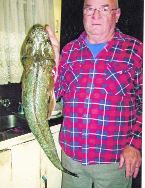 Kevin Smith of Newcastle took home this tasty flathead from the Hunter River on bait.