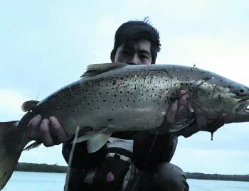 Local angler Jinsu took this cracking late spring brown trout from Devilbend Reservoir.