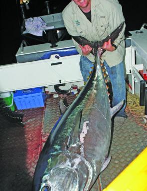 The author Daniel Kent with the massive 153.5kg southern bluefin tuna that caused a flurry of boats and anglers to head for Apollo Bay with dreams of catching a 100kg plus fish.