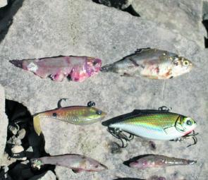 No matter what technique you use, it will pay to match your lure to what the fish are feeding on.