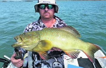 Glenn Davis caught this fine coral trout just outside the harbour on a plastic.