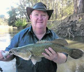 Les Rava from Narrandera with a Murray cod he caught on cheese while bait fishing in the Murrumbidgee.