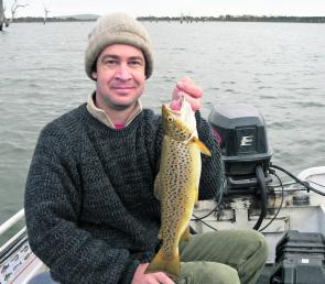 A nice mudeye caught brown trout from the inlet area at Lake Fyans.