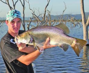 Small impoundment barra like this should be an entertaining target on topwater lures this month.