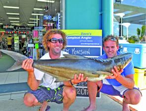 Andy Monshin and his mate Scott McKenna tempted this 18kg cobia with a yakka floater at Hall's Reef.