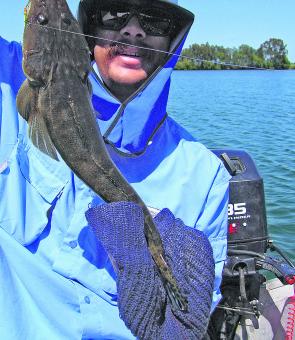 Ben Pilch with an average upriver flatty caught on a TTs Switchblade.