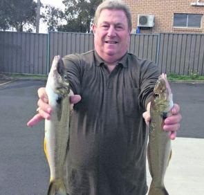 The author caught these two thumper whiting at the Macarthur District Social Fishing club annual whiting social fish.