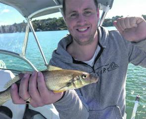 Macarthur District Social Fishing club member Jason caught this PB whiting on worms at Oatley recently.