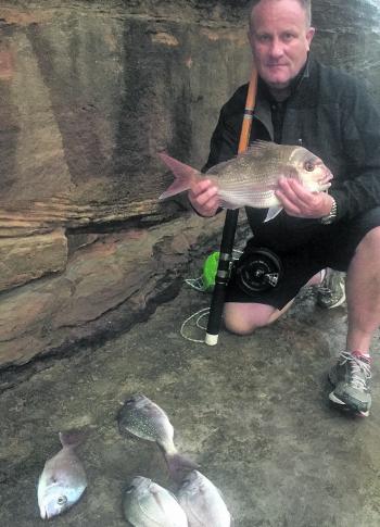 Daniel Dekell with a nice snapper of 50cm. Several up to 38cm were caught as well. There are a few good fish from 48-52cm lately with bags of plate-sized fish too. These were caught distance casting. 