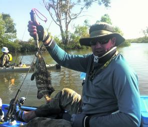 Tim McCrea with a typical cod from the kayak caught on a PrawnStar.