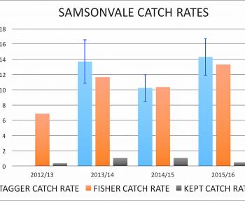 Catch Rates in Lake Samsonvale.