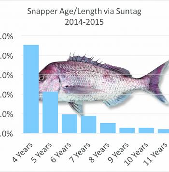 Length/age as a proportion of catch for Suntag Data 2014/15 for Queensland snapper.