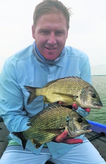 Bream typically feed more often and more aggressively throughout the summer months. Crack out the new gear and get into some!