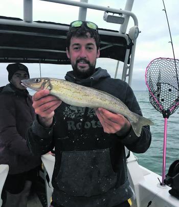 Mitch with a whiting of the typical good quality caught this season.