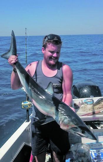 Brenton managed his first mako recently and it was a perfect size for a starter.