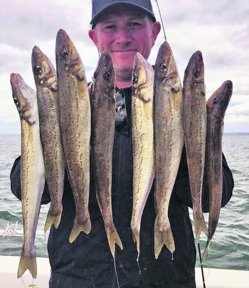 Shaun Furtiere and his mate Robert Coillet had a blinder of session fishing for whiting in the North Arm recently.