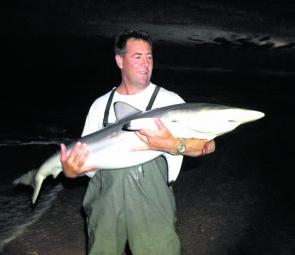 Tony Dare with a rare long nosed grey shark caught at Golden Beach on a piece of salmon fillet. 