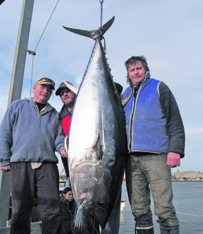 Pud Trewin, Ray Straton and Craig Trewin with one of the last barrels landed for 2013 season weighing 118.4kg.