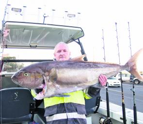 Brent Griff and Rob Hanson with their 21kg cleaned samson fish (or depending on who you talk to, an amberjack) landed in 40m of water while out flathead fishing off Cape Bridgewater.