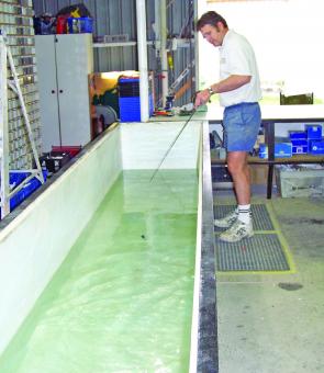 Swim testing ensures that each lure is perfect straight from the box.