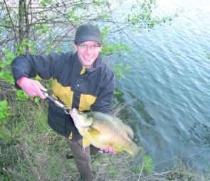 Big golden perch are a great way to put a smile on your dial.