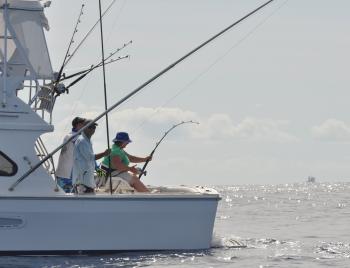 Fiona McGinty hooked up to her first marlin on Alcatraz.