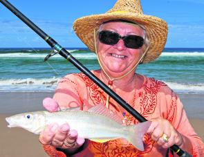 Tasty little critters, whiting like this move all along the Illawarra coast this month.