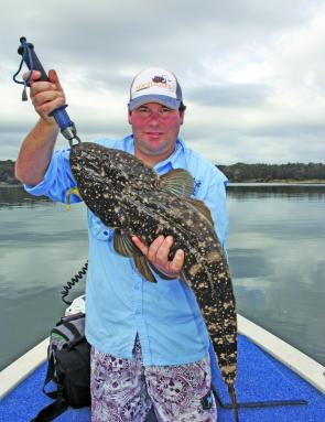 Dave’s biggest flathead, a 90cm Tuross special, was released in great condition.