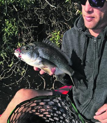 Mick Dee has found big bream in just about every corner of the Gippy Lakes.