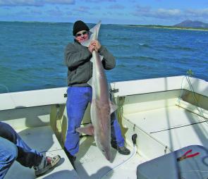 School sharks up to 40kg provide great sport fishing for anglers from October through to autumn.